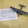 RC VII - Category 100 Aircraft