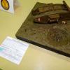 RC VII - Category 900 Young- Junior Modelers