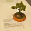 700 Dioramas