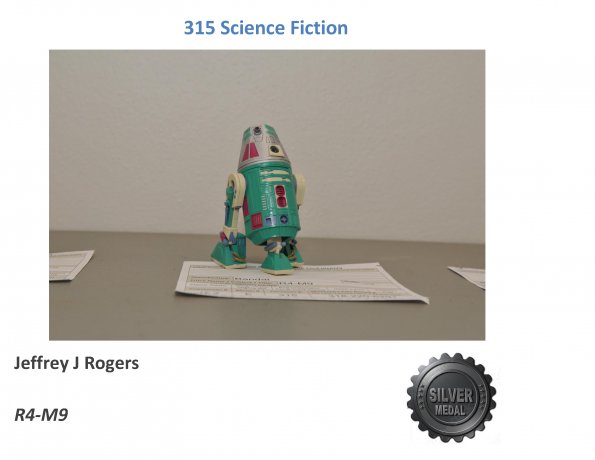 Rpt_Awards_Page_144