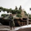 king-tiger-17a